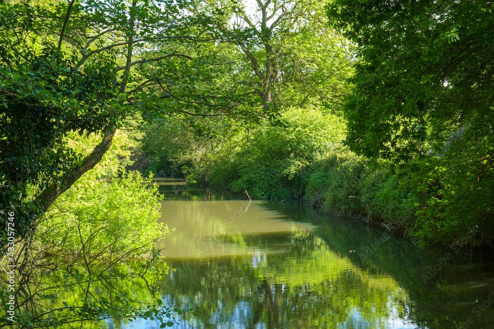The River Mole, Near Esher, Surrey, England, UK. The tree-lined river and still water creates a tranquil scene. The River Mole, Near Esher, Surrey, England, UK. The tree-lined river and still water creates a tranquil scene.