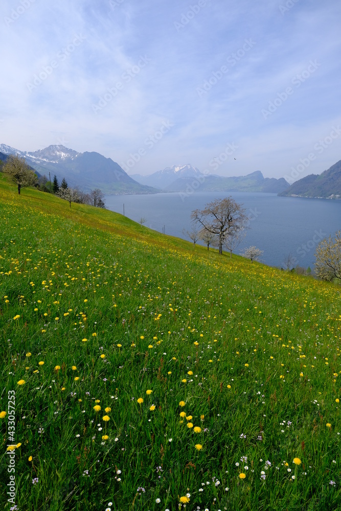 A view on the Lucern Lake, from the small swiss village of Vollingen. Seelisberg, Switzerland, the 26th April 2021.