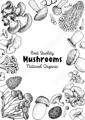 Edible mushrooms hand drawn sketch. Vector illustrations collection. Hand drawn food. Vintage mushrooms sketch. Organic food. Forest mushrooms. Vintage mushrooms background. Healthy food illustration.