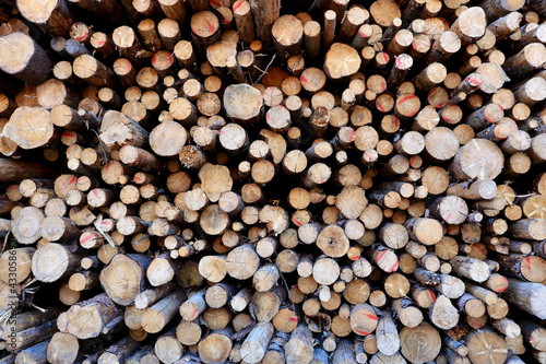 A heap of timber