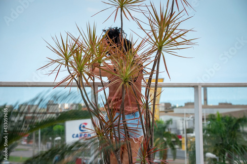tropical palm tree and curly latin woman