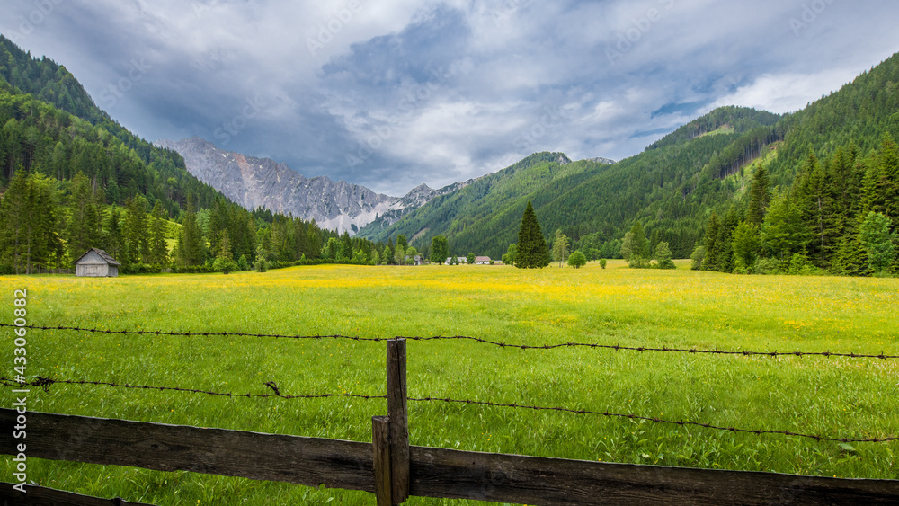 Landschaft in Kärnten, Österreich hinter einem Stacheldrahtzaun bzw. Weidezaun