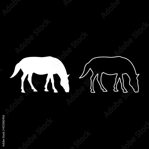 Steed Horse Equestrian Equine Stallion thoroughbred Mustang silhouette white color vector illustration solid outline style image