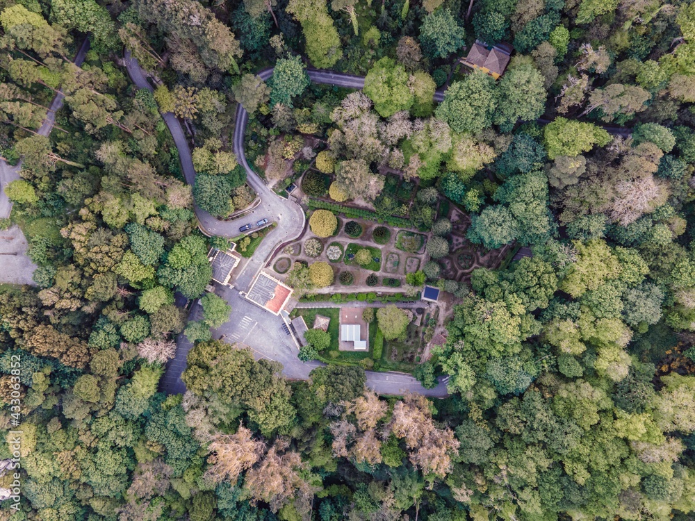 Aerial view of the garden inside Pena Palace castle in Sintra on hilltop, view of the botanical garden among the forest trees, SIntra, Lisbon, Portugal.