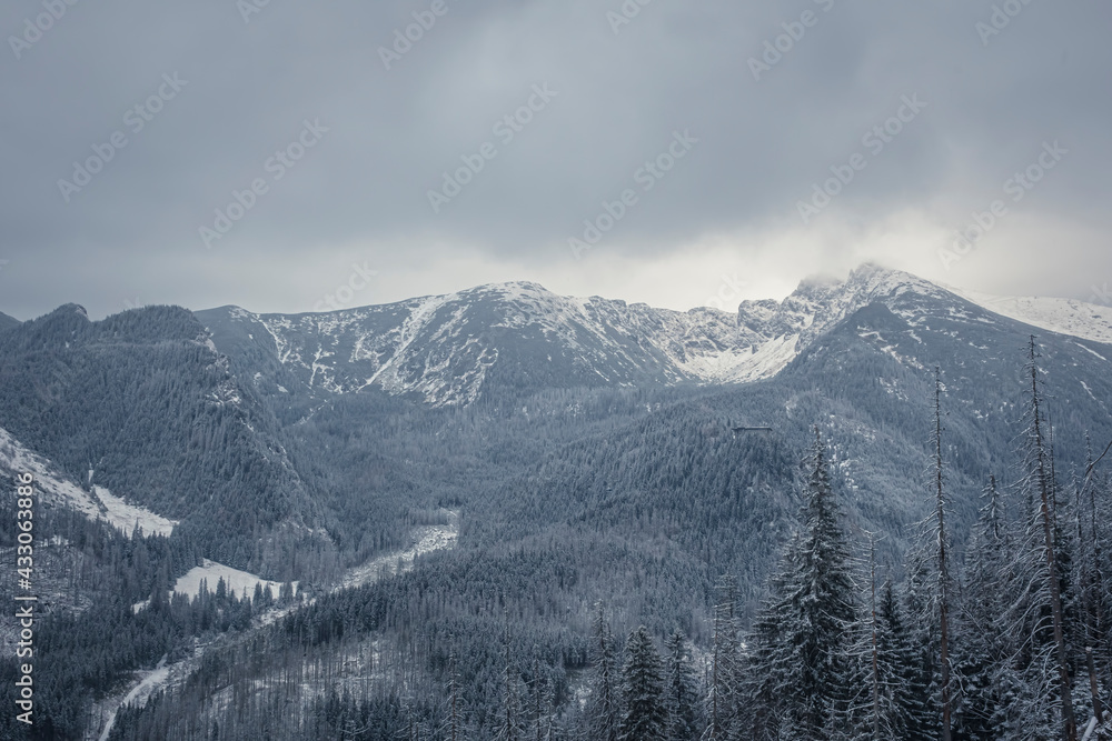 Western Tatra Mountain view in winter. Snowy peaks and hills, dense coniferous forest, dark cloudy day. Selective focus on the ridge, blurred background.
