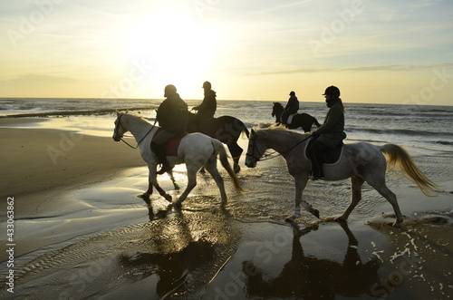 Riding horses at sunset