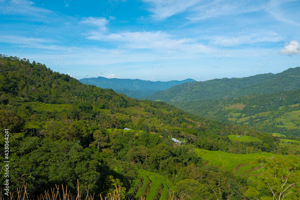 Obraz premium Malino, Tinggimoncong, Gowa Regency, South Sulawesi, Indonesia 3-25-2021 Beautiful rice field malino.