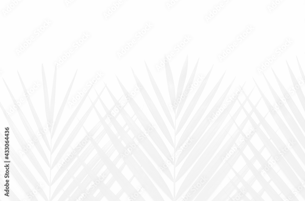abstract background with palm leaf shadows abstract background with palm leaf shadows