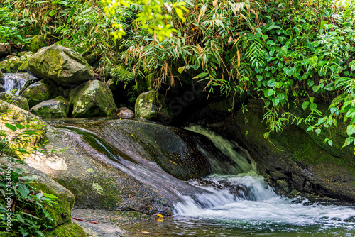 Small cascade and mossy rocks among the vegetation of the tropical forest in its natural state in the region of Itatiaia in the state of Rio de Janeiro  Brazil