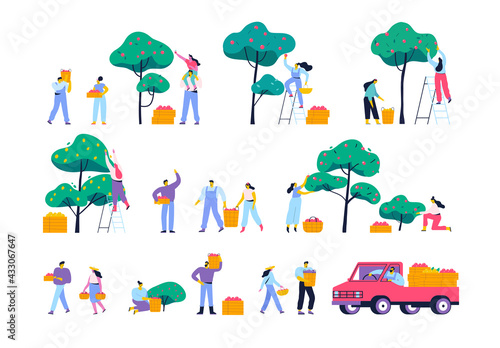 People gathering fruits in orchard or at farm flat vector set