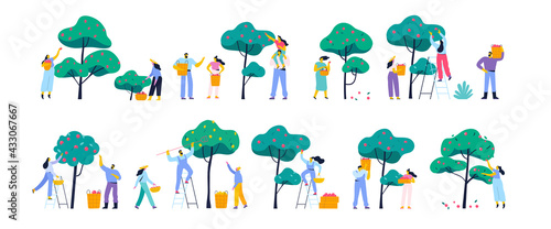 People gathering fruits in orchard or at farm flat vector set