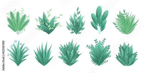 Greenery branches. Green realistic spring grasss. Leafs of exotic plant Collection of tropical abstract isolated symbols. Different patterns of natural lawn meadow bushes