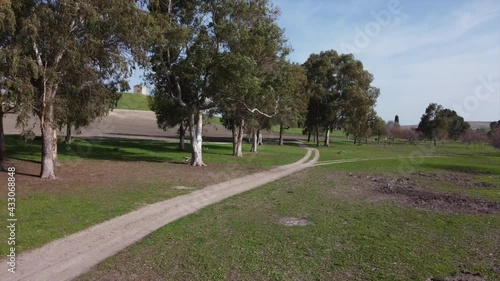 Drone flying low in green field park on beautiful summer sunny day with orange trees, Seville Spain photo