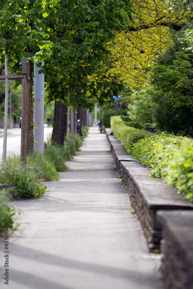 Pavement at springtime with alley of trees at City of Zurich. Photo taken May 11th, 2021, Zurich, Switzerland.