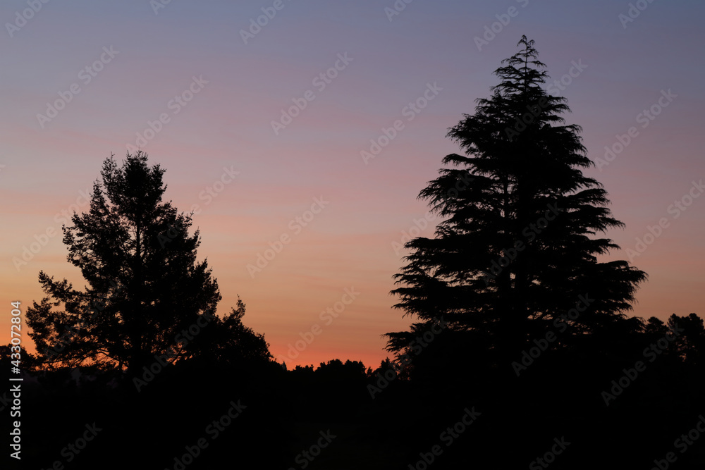 Sonnenuntergang Neuseeland / Sundown New Zealand / Sonnenuntergang Neuseeland / Sundown New Zealand /