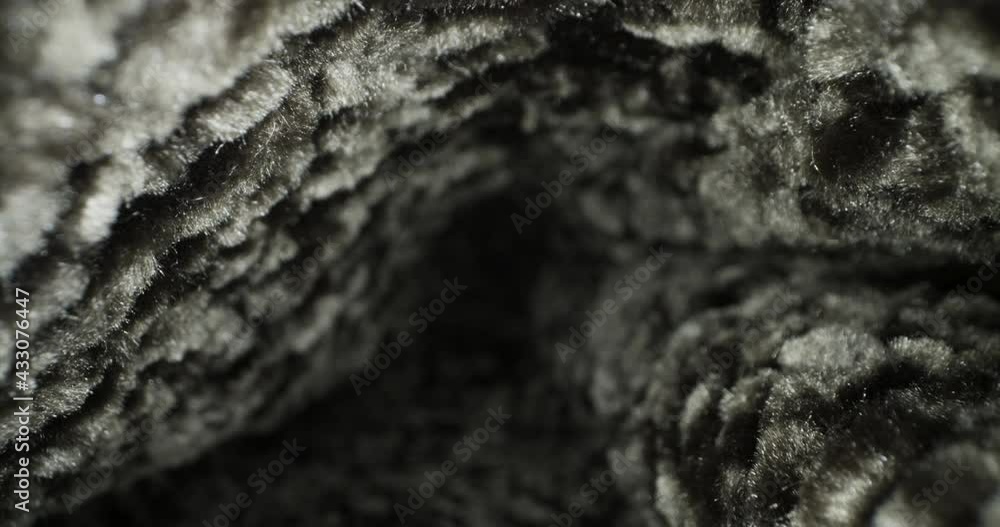 Macro slider shot traveling through soft fur feather texture tunnel Macro slider shot traveling through soft fur feather texture tunnel