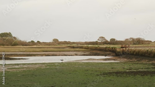 Tidal Estuary Marshland in Winter, UK photo