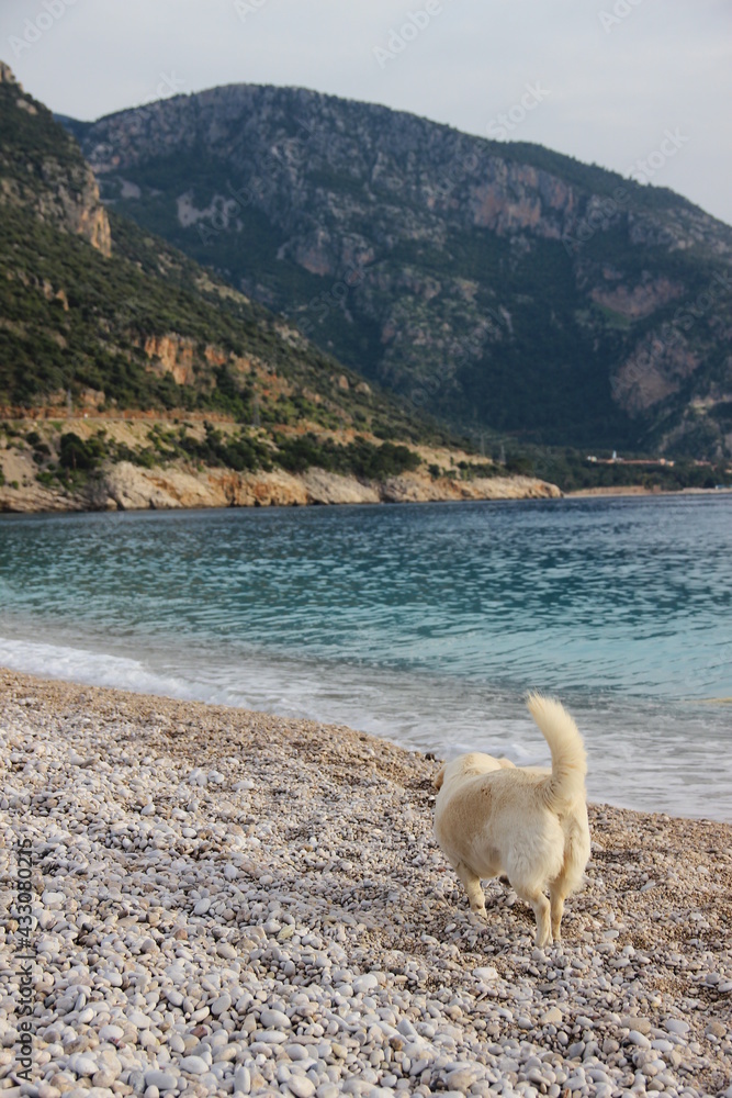 Fototapeta premium My World