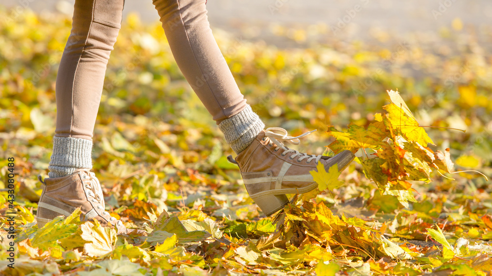 woman walking in autumn park woman walking in autumn park