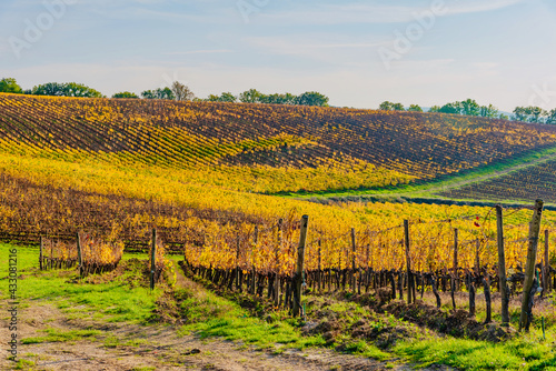 scenic views of the colors of the chianti in tuscany