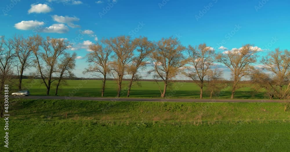 Country Road Between Agricultural Field Country Road Between Agricultural Field