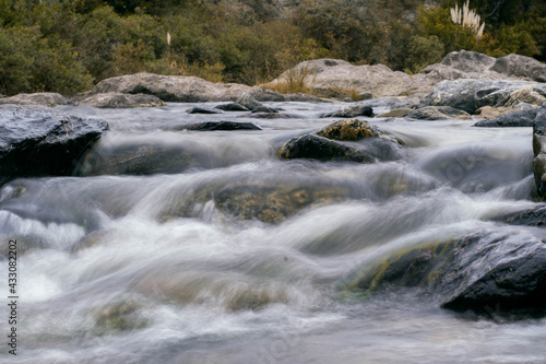 river in the forest