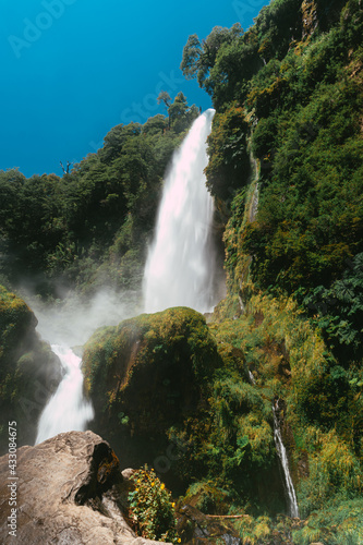 waterfall in the midst of vegetation