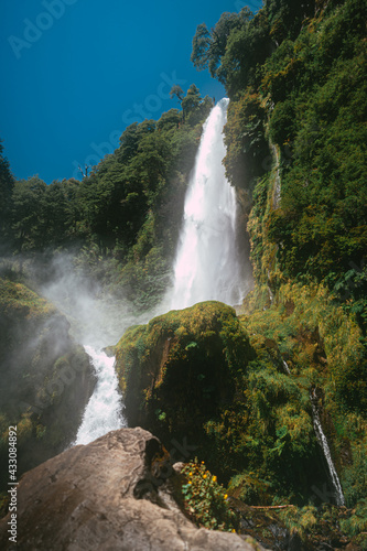 waterfall in the midst of vegetation