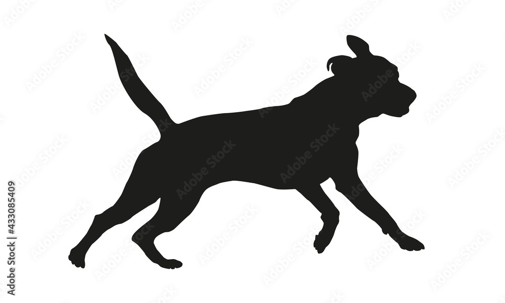 Black dog silhouette. Running american pit bull terrier puppy. Isolated on a white background.