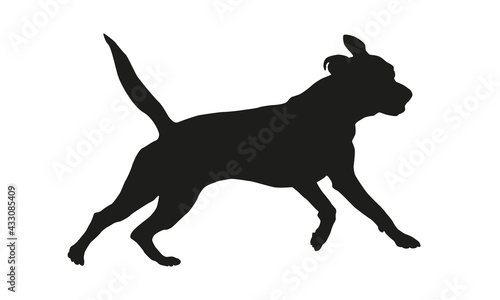 Black dog silhouette. Running american pit bull terrier puppy. Isolated on a white background.