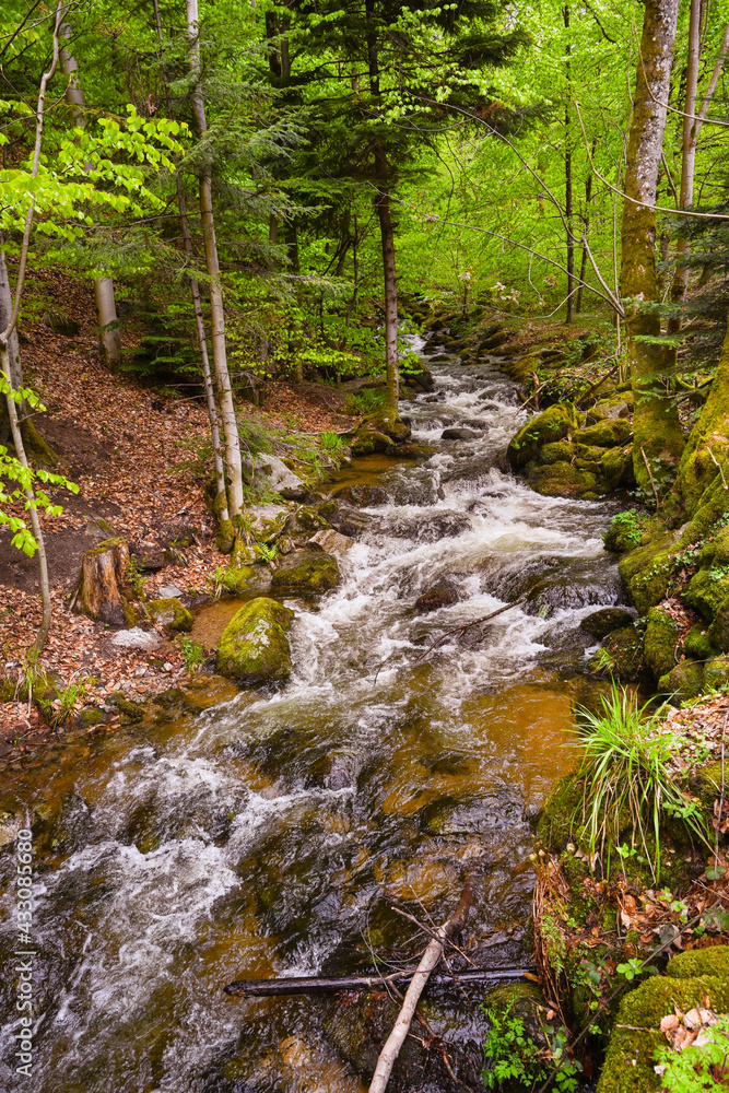 Fototapeta premium The Gertelbach waterfall in the Bühler valley, Northern Black Forest. Baden-Wuerttemberg, Germany, Europe