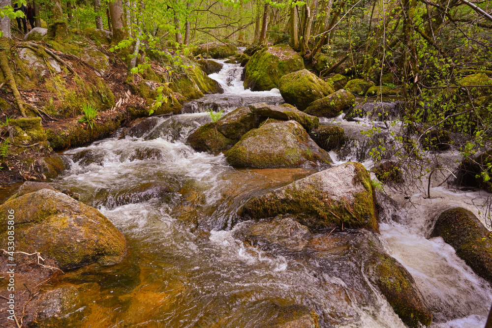 The Gertelbach waterfall in the Bühler valley, Northern Black Forest. Baden-Wuerttemberg, Germany, Europe The Gertelbach waterfall in the Bühler valley, Northern Black Forest. Baden-Wuerttemberg, Germany, Europe