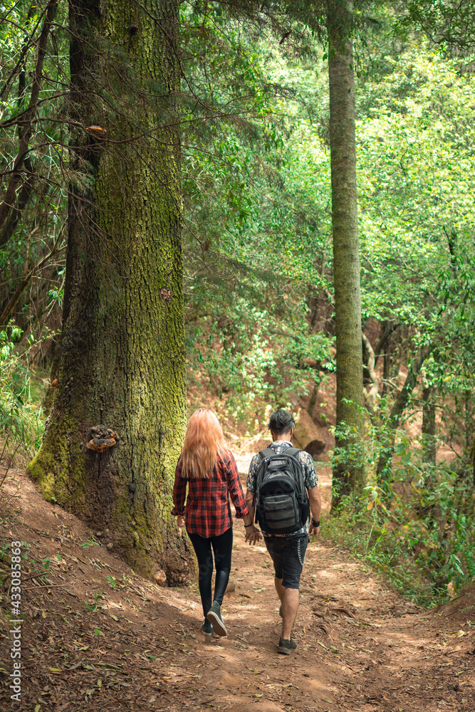 Couple walking through the forest back to back, outdoor excursion concept, day in the park couple holding hands