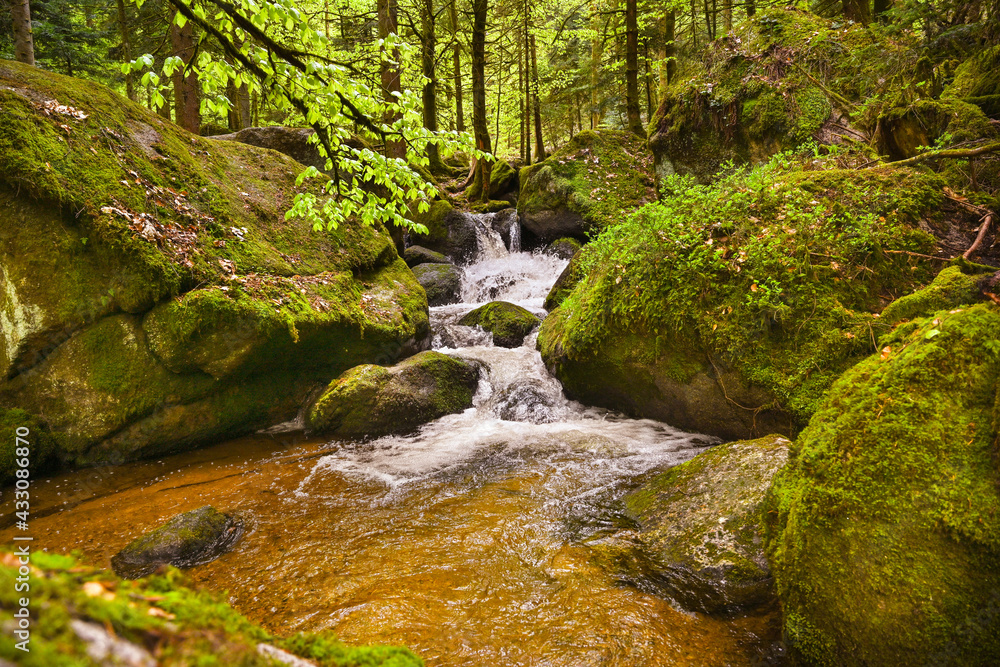 The Gertelbach waterfall in the Bühler valley, Northern Black Forest. Baden-Wuerttemberg, Germany, Europe The Gertelbach waterfall in the Bühler valley, Northern Black Forest. Baden-Wuerttemberg, Germany, Europe