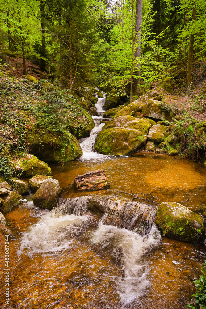 Fototapeta premium The Gertelbach waterfall in the Bühler valley, Northern Black Forest. Baden-Wuerttemberg, Germany, Europe
