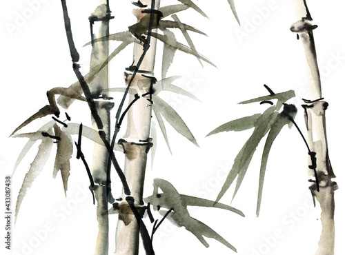Watercolor bamboo with leaves © ola_tarakanova