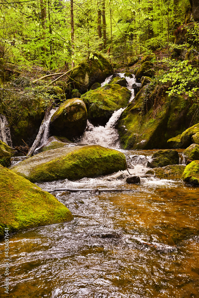 The Gertelbach waterfall in the Bühler valley, Northern Black Forest. Baden-Wuerttemberg, Germany, Europe