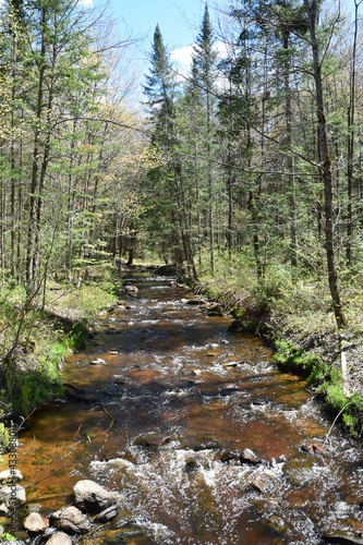 Regional park of the Gentilly river