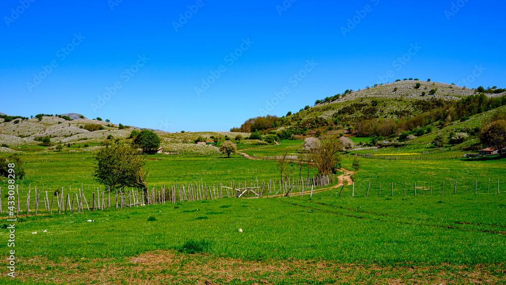 landscape with path and trees. Valley of the Orchids, National Arch of Cilento. Campania, Italy landscape with path and trees. Valley of the Orchids, National Arch of Cilento. Campania, Italy