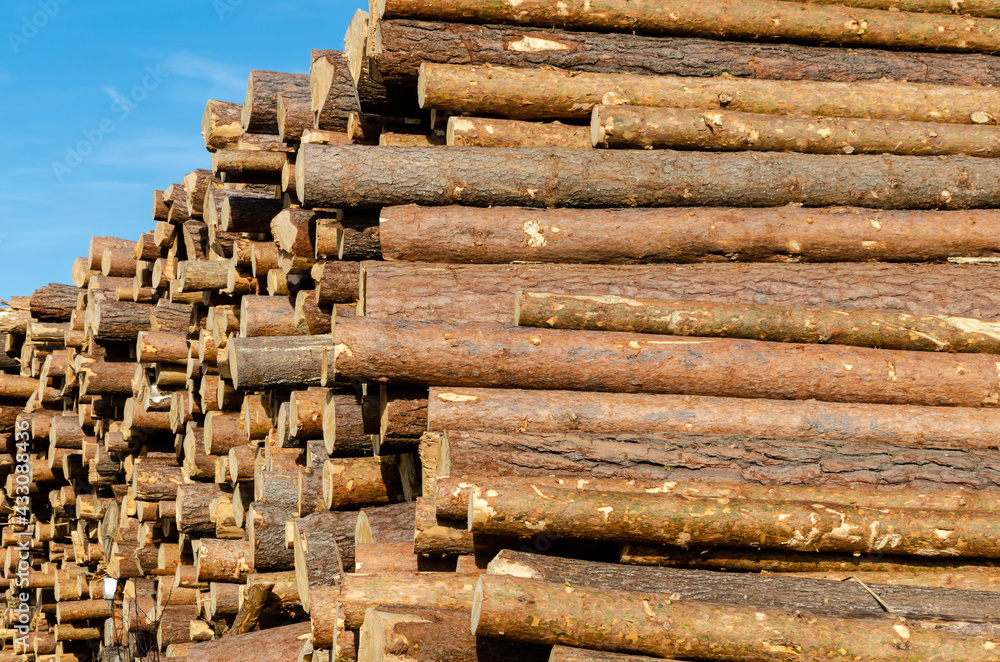 Warehouse of wooden logs in a warehouse on the street. Warehouse of wooden logs in a warehouse on the street.
