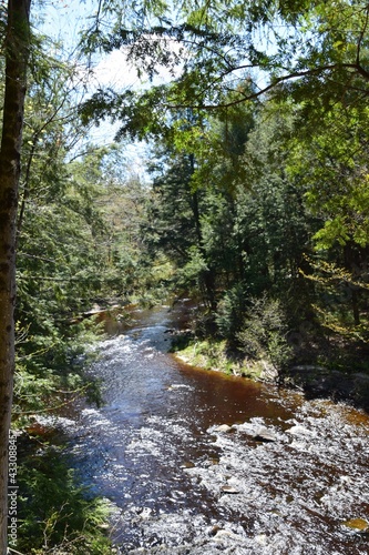 Regional park of the Gentilly river