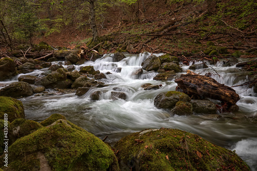 beautiful long exposure view of flowing water in the river with rocks at forest