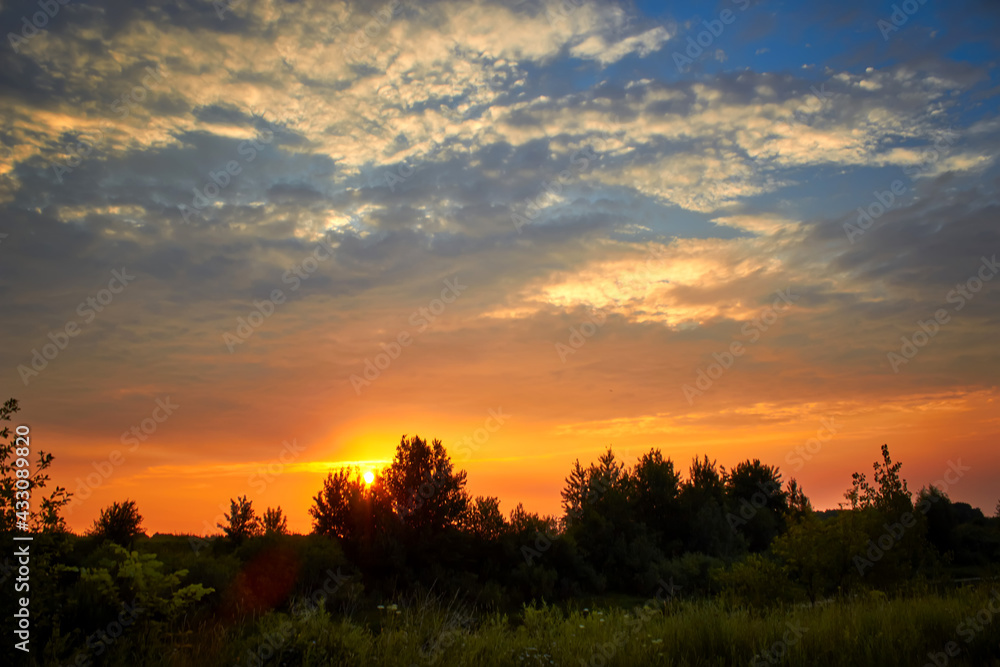 Fototapeta premium Happy new day concept. Stunning yellow meadow summer sunrise beautiful gold light background.