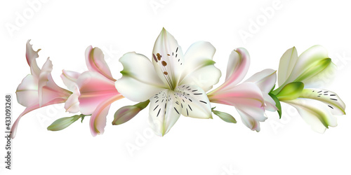 Flowers. Bouquet. Pink and white lilies. Isolated.