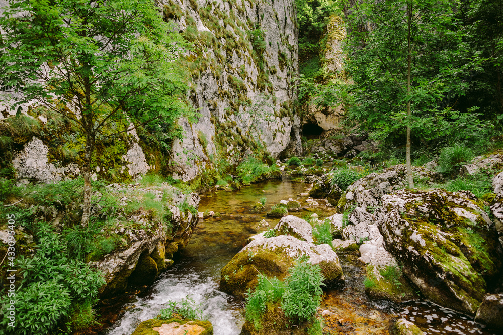 Mountain river Tara in the park of Montenegro Mountain river Tara in the park of Montenegro