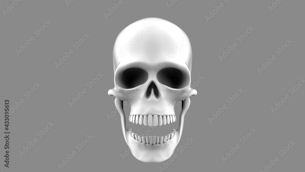 3d render full face skull with open mouth on a gray background 3d render full face skull with open mouth on a gray background