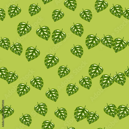 Seamless pattern with monstera. Random leaves on green background.