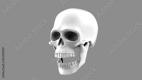 3d render skull with open mouth. 3d render skull on a gray background