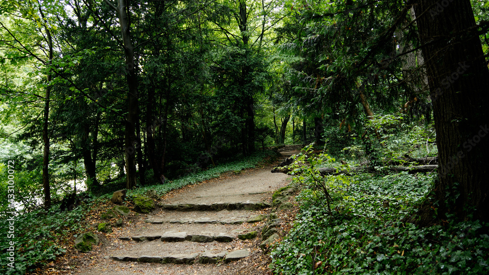 Park von Schloss Schönbrunn
