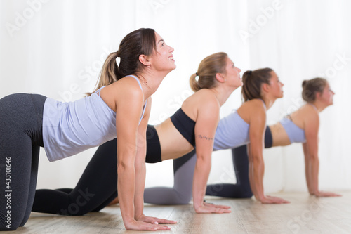 Group of young sporty women in yoga studio  practicing yoga. Healthy active lifestyle  working out indoors in gym